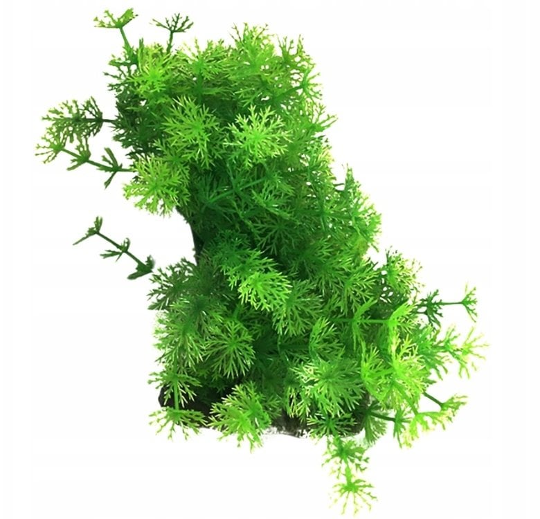 Aqua Natura, ro�lina, do dekoracji akwarium, zielono-��ta, plastikowa, 12-18 cm , g�sta w drobne li�cie