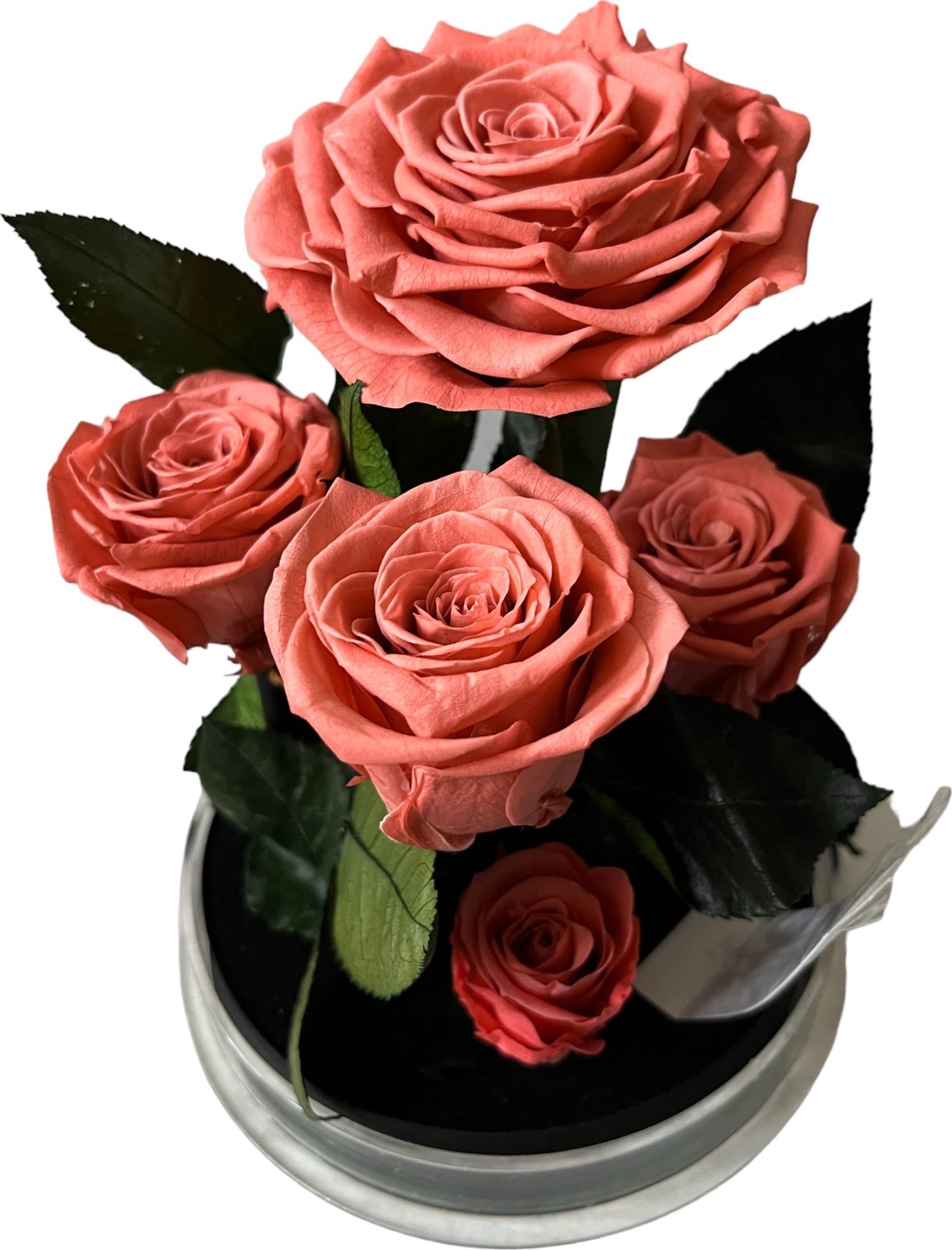 ToPrezent.pl Ogród w Szkle - 5 Zakonserwowanych Różowych Róż