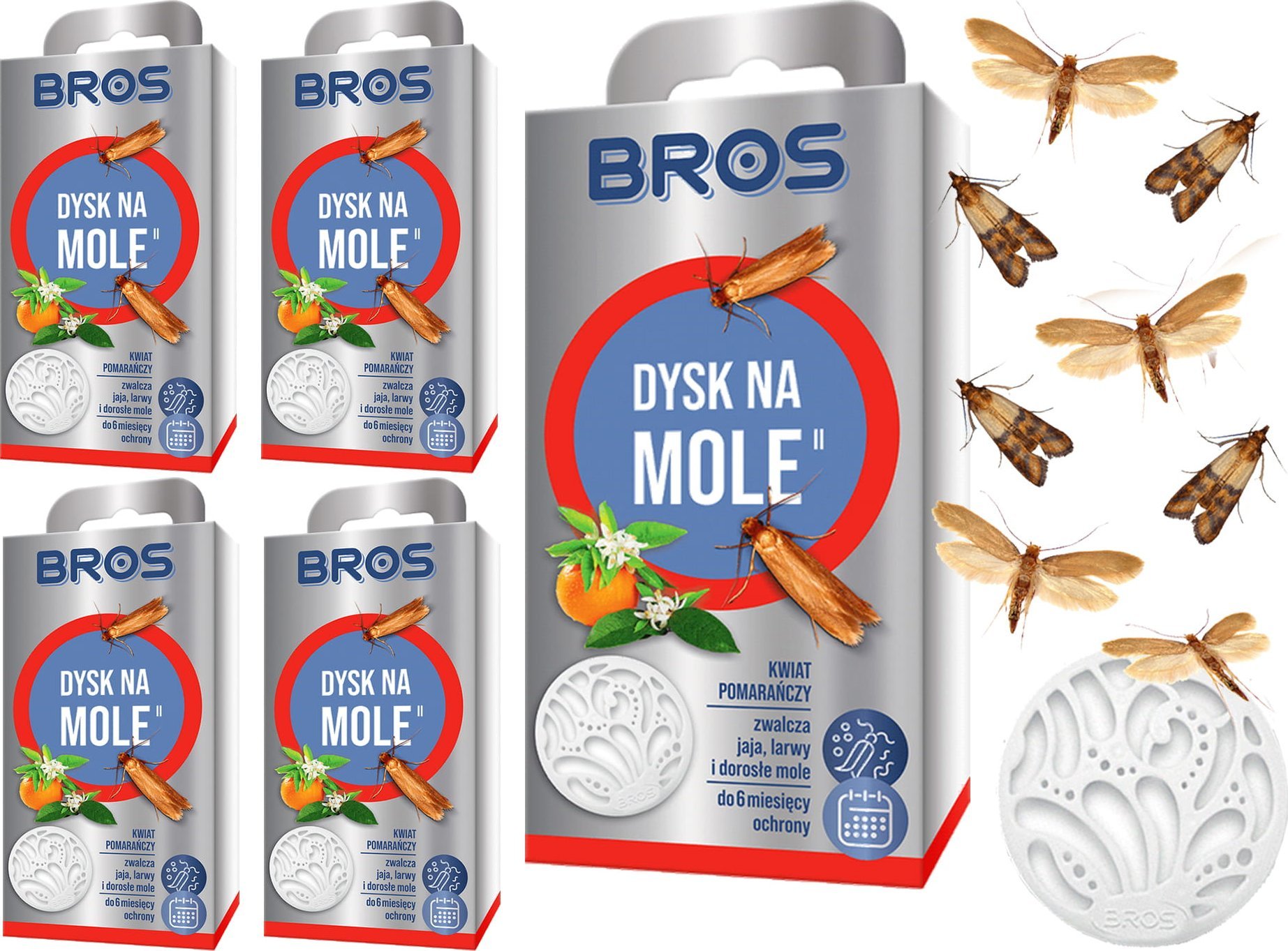 Bros BROS - dysk na mole kwiat pomarańczy - 5 szt.