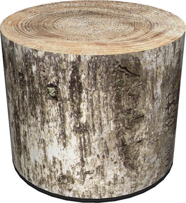 Bertoni-arco Pufa Ogrodowa - BRZOZA