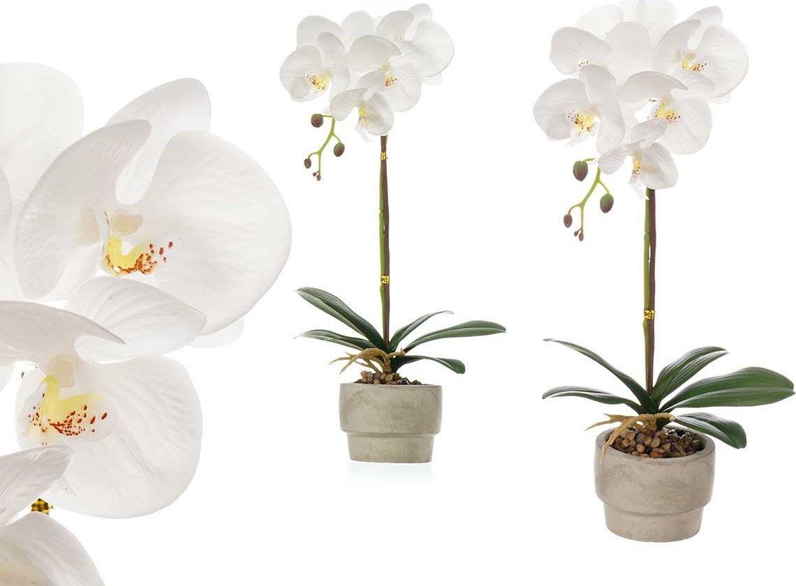 Ibergarden Sztuczny storczyk w doniczce z cementu ORCHI, 56 cm