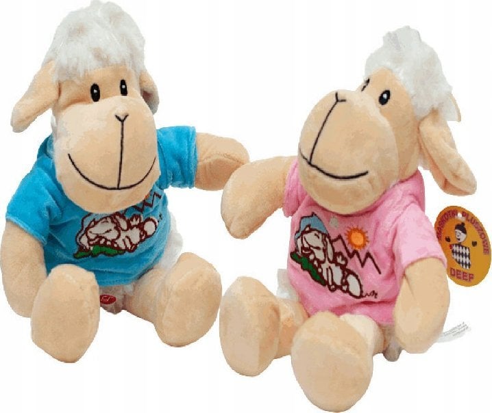 Owieczka w koszulce mała CHT03168 31688