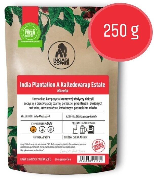 Kawa ziarnista Ingagi Kawa ziarnista India Plantation A Kalledevarapura Estate Natural FILTR 250g