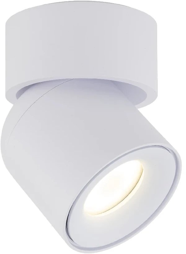 Spot sufitowa lampa punktowa Twist 10576 regulowana metalowa biały