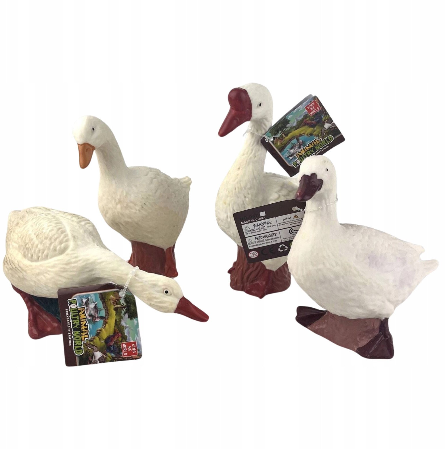 Zwierzęta drób 1szt 1351997 19975