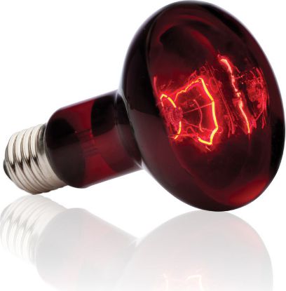 Hagen EXOTERRA ŻAR. INFRARED SPOT 50W