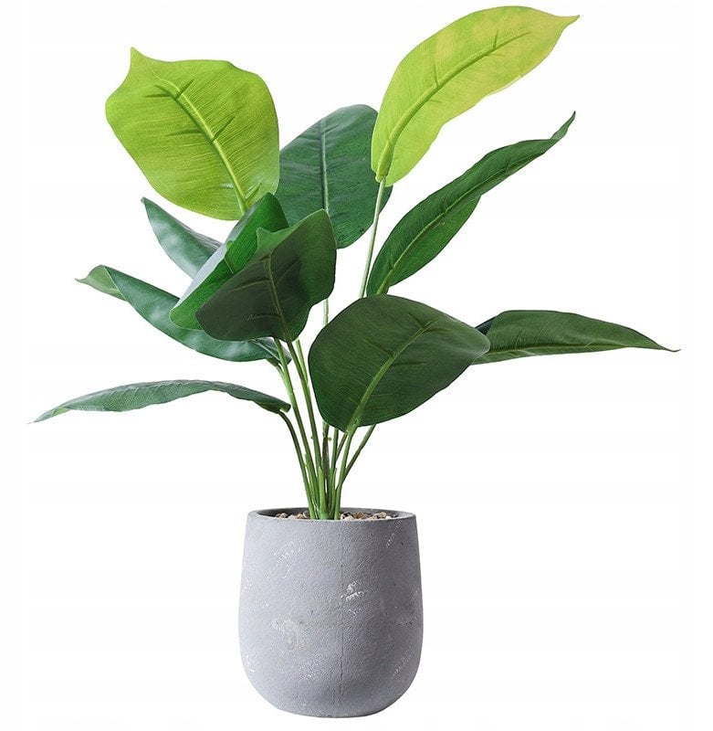 SZTUCZNA Roślina W DONICZCE REALISTYCZNA 45cm SKRZYDŁOKWIAT do DOMU BIURA