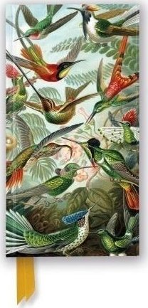 Notatnik linia TW Kolibry Ernst Haeckel