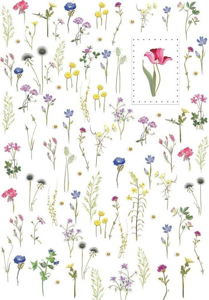 Turnowsky Karnet B6 + koperta MO5083 Kwiaty