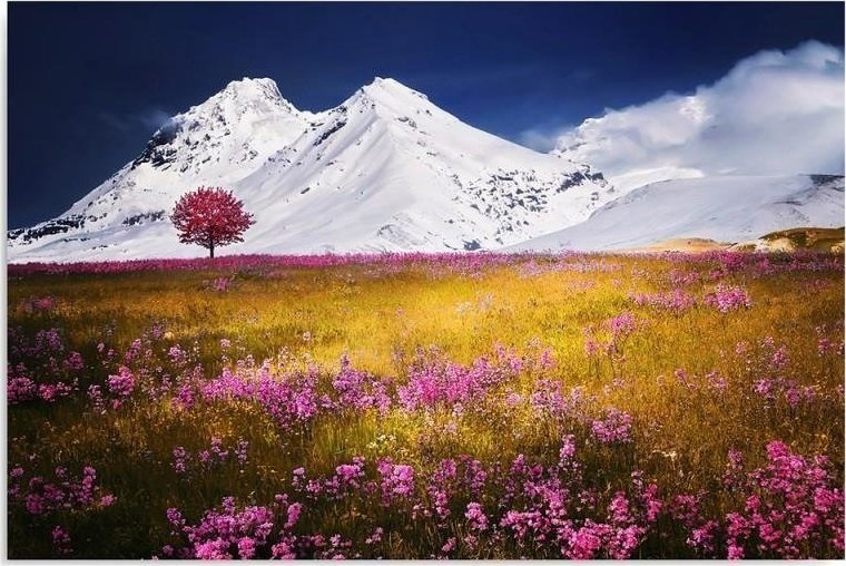 Feeby Obraz, Alpy - 100x70