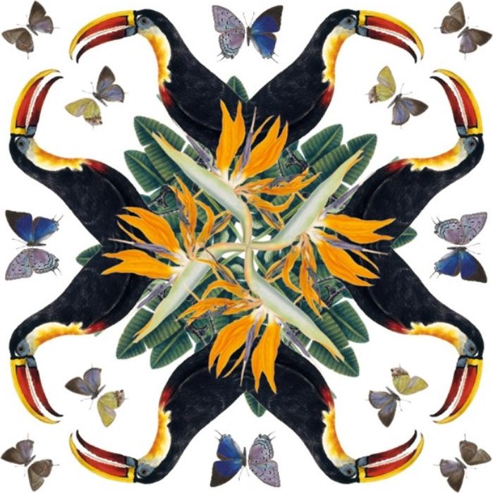 Museums & Galleries Karnet kwadrat White-throated Toucan z kopertą