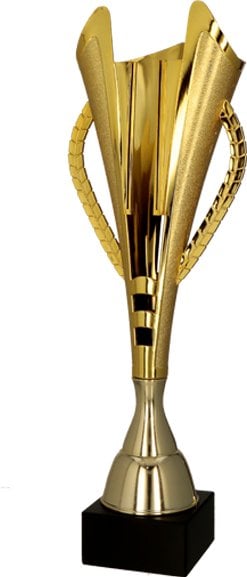 Victoria Sport Puchar plastikowy złoty - BIEGI MĘŻCZYZN