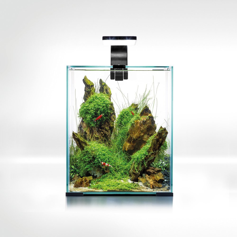 Triton AQUAEL Zestaw Aquael Shrimp Set Smart Day & Night [20l] - czarny