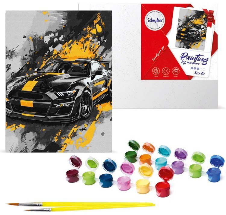 Ideyka Zestaw do malowania po numerach 30x40cm KHO5155 Styl sportowy AP0091