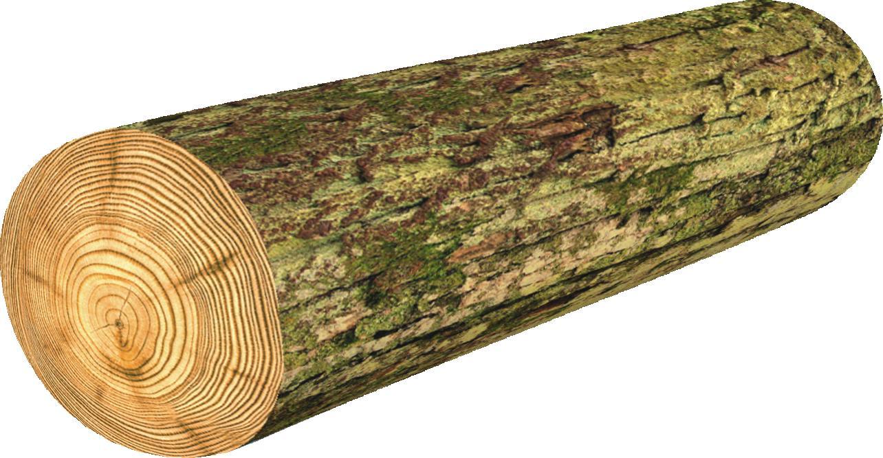 Bertoni-arco Poduszka Wałek - Omszony 16x55 cm