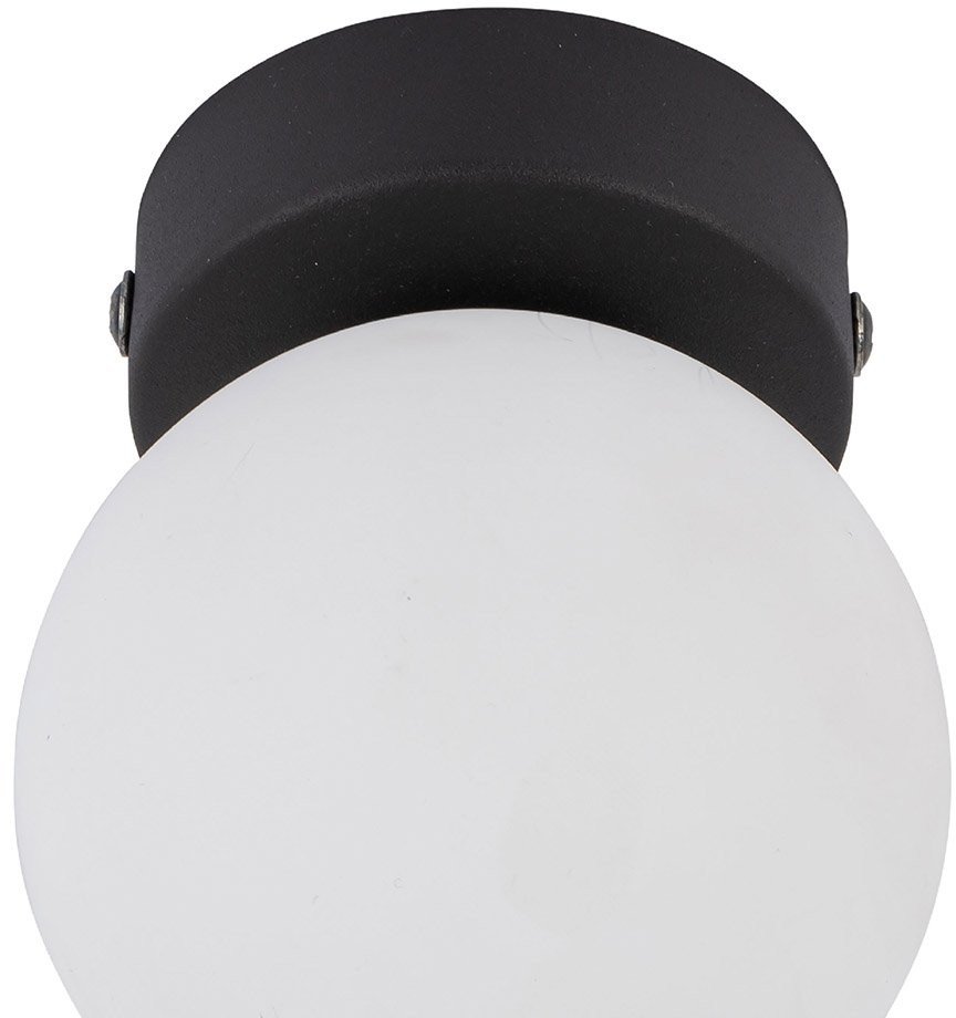 Lampa sufitowo-ścienna MINI BLACK 5613 TK Lighting