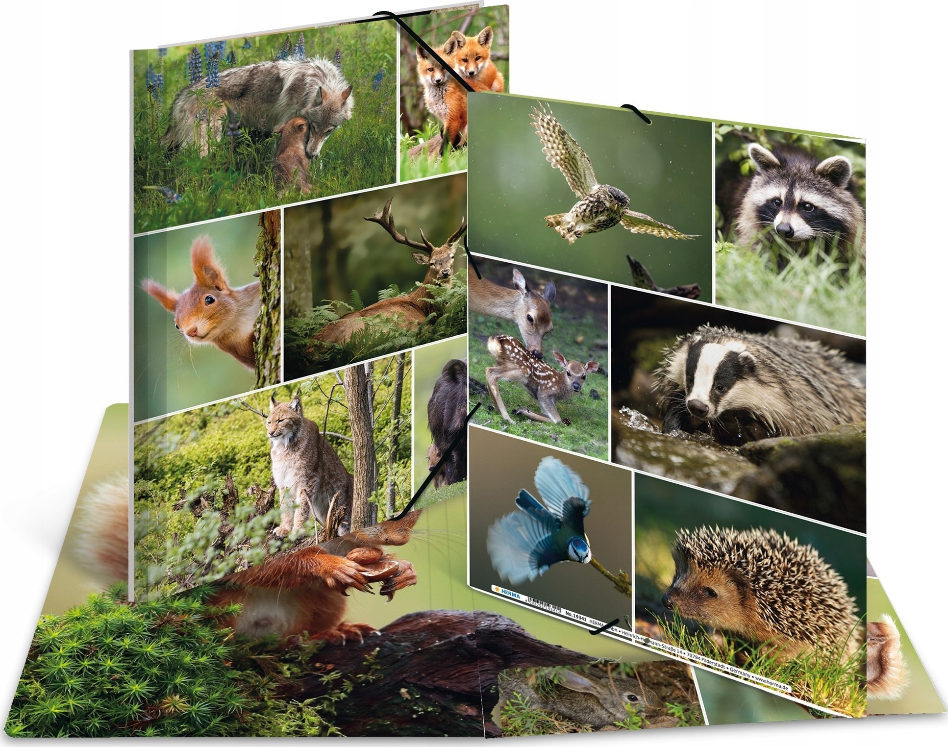 Teka Teczka A4 gumki narożne - Le¶ne zwierzęta