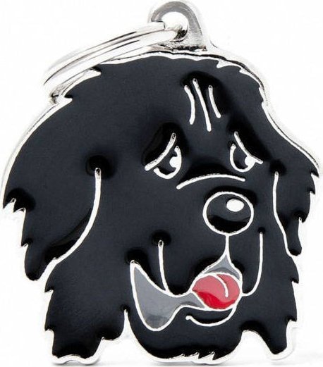 Zawieszka Adresówka Identyfikator z grawerem dla psa nowofundland