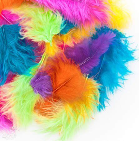 Akson Piórka 5-12 cm 5 g exotic uniw