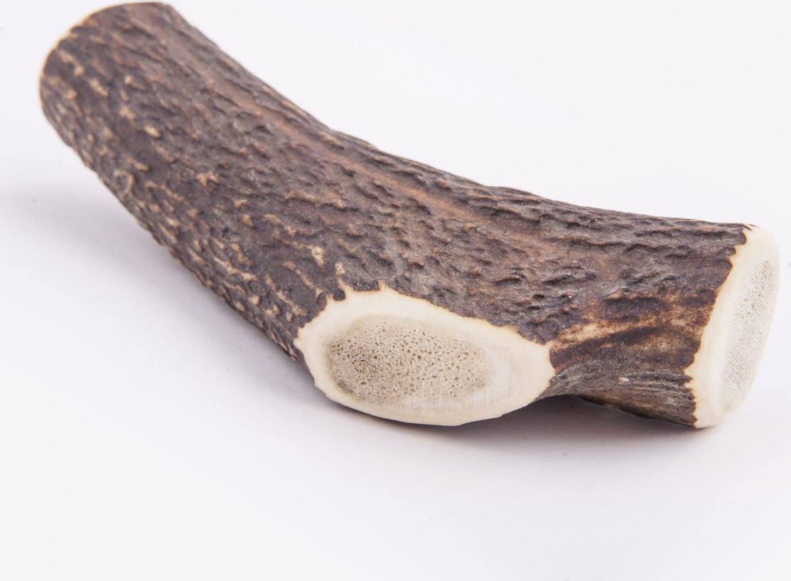 4DOGS GRYZAK L (HARD)