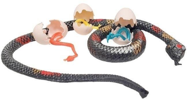 Gumowy wąż 66cm z jajami