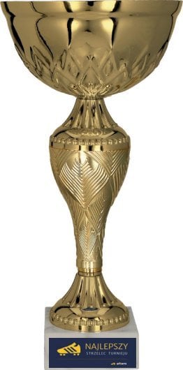 Victoria Sport Puchar metalowy złoty