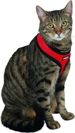 Kerbl Szelki z lamówką + smycz 120cm dla kota Czerwone