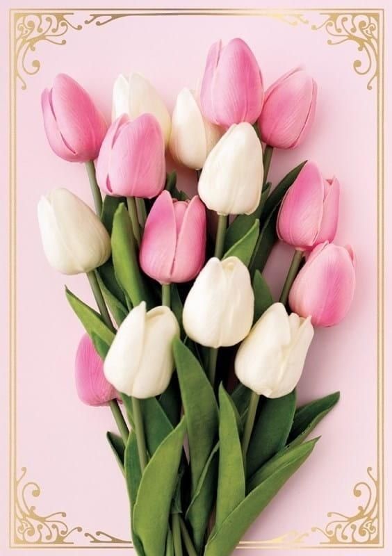 KUKARTKA Karnet B6 PP-2142 Kwiaty (bez tekstu)