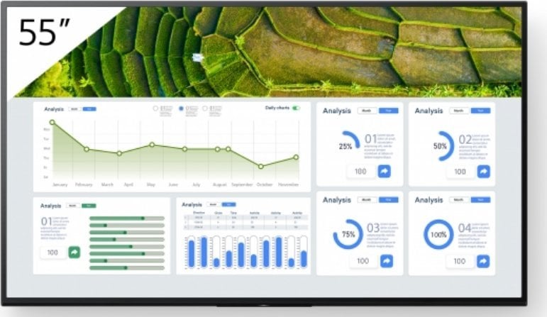 Monitor Sony Bravia FW-55BZ30L