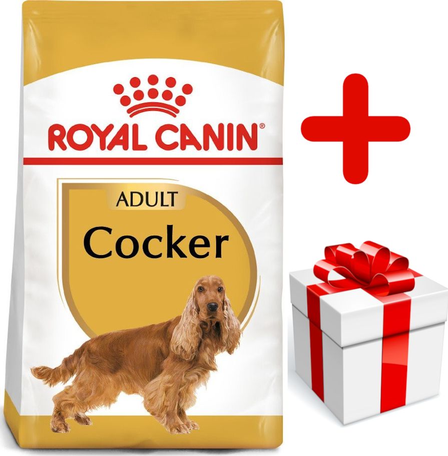 Royal Canin ROYAL CANIN Cocker Spaniel Adult 12kg karma sucha dla psów dorosłych rasy cocker spaniel + niespodzianka dla psa GRATIS!