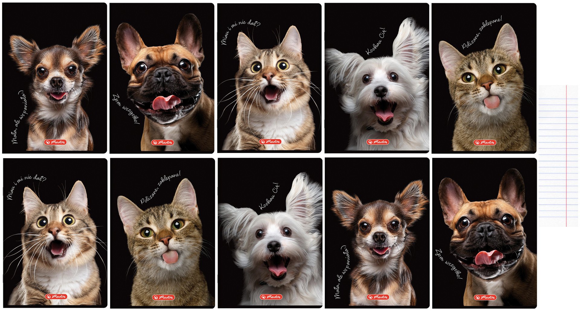 Zeszyt A5 60 kartek w linie z marginesem 70g Crazy Animal 10szt HERLITZ