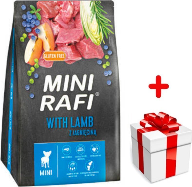 Dolina Noteci DOLINA NOTECI Rafi Mini karma sucha dla psa z jagnięciną 3kg + niespodzianka dla psa GRATIS!