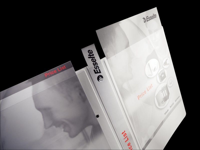 Segregator Leitz Standard 4-ringowy A4 44mm biały (sek4960187.)