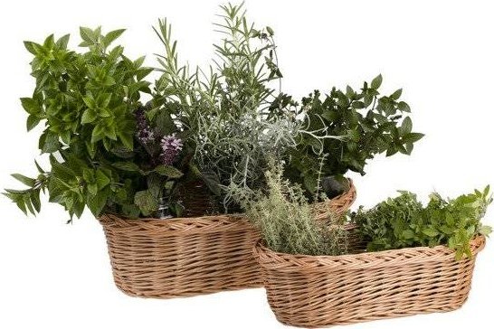 WickerPL KOSZ WIKLINOWY DONICZKA OSŁONKA NA ZIOŁA I KWIATY 48x26 H14 cm