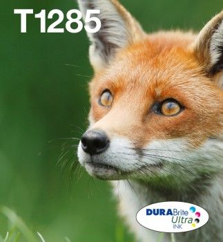 Tusz Epson Tusz T1285 4-pack 16.4 ml CMYK (C13T12854511)