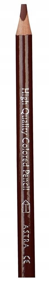 Kredka Jumbo ołówkowa brązowa (24szt) ASTRA