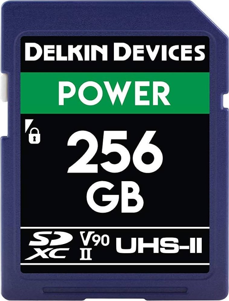 Karta Delkin Power 2000x SDXC 256 GB Class 10 UHS-II/U3 V90 (DDSDG2000256)