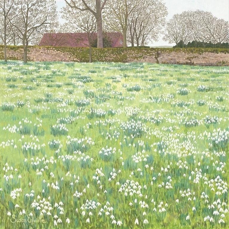 Susan Entwistle Karnet z kopertą Śnieżyczki