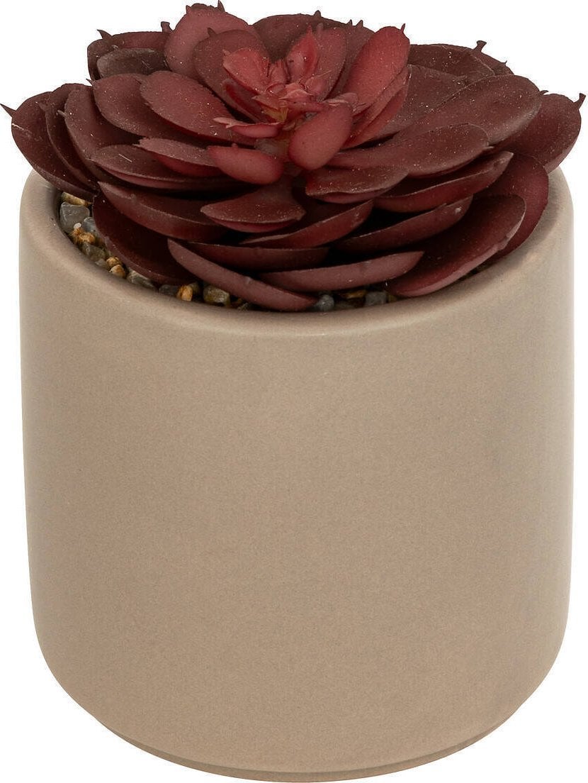 Atmosphera Sztuczny sukulent w doniczce NILS, 12 cm