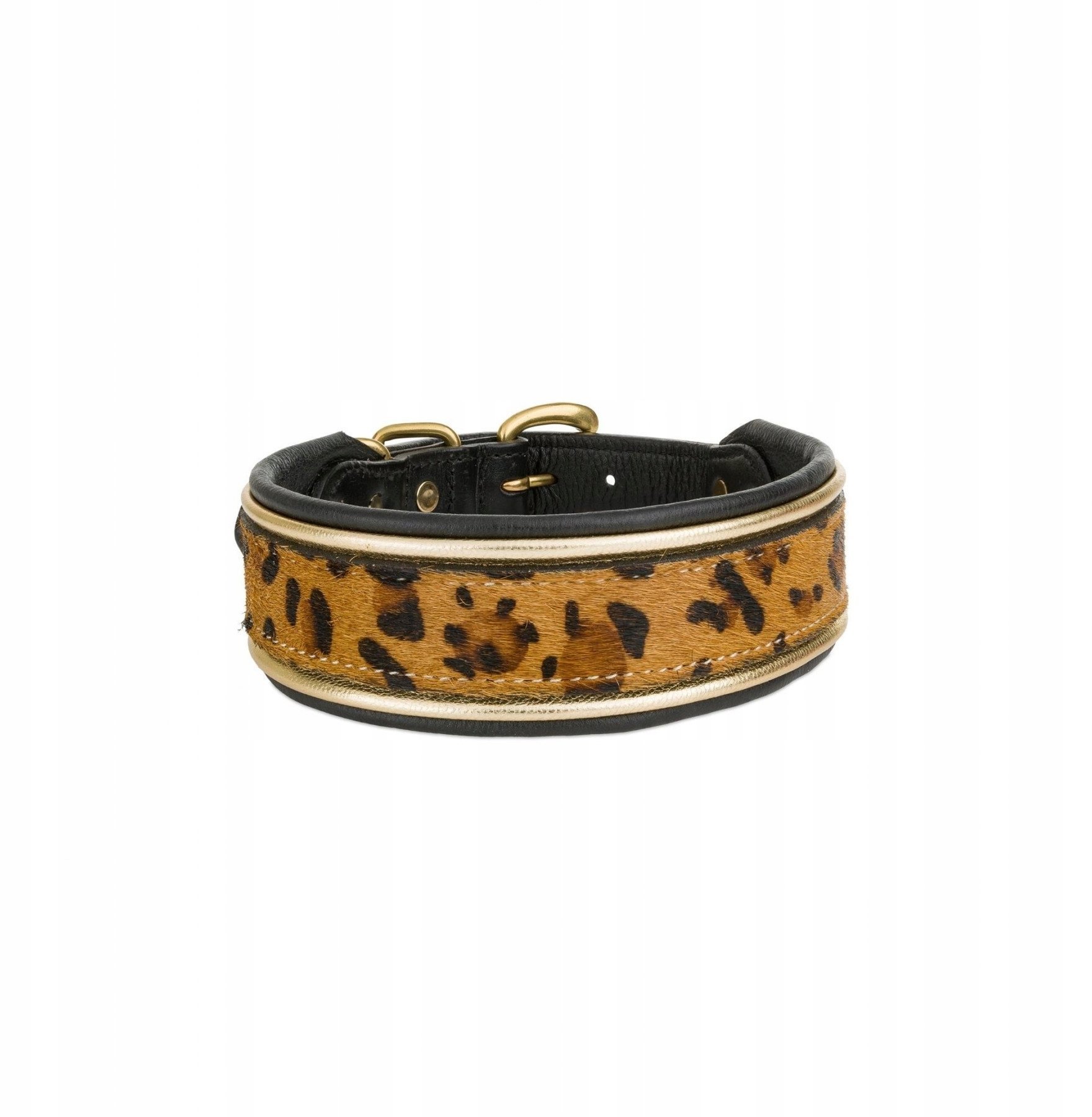 Obroża skórzana, 47-54 cm/42 mm, pantera