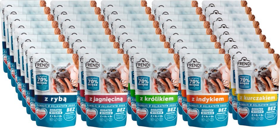 Frendi Frendi kawałki w delikatnym sosie z kurczakiem dla kota 45x100g 5 smaków