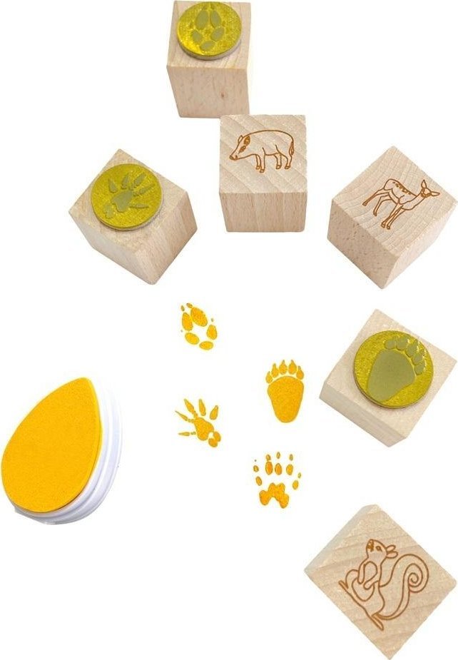 Colorado Stemple ślady w lesie