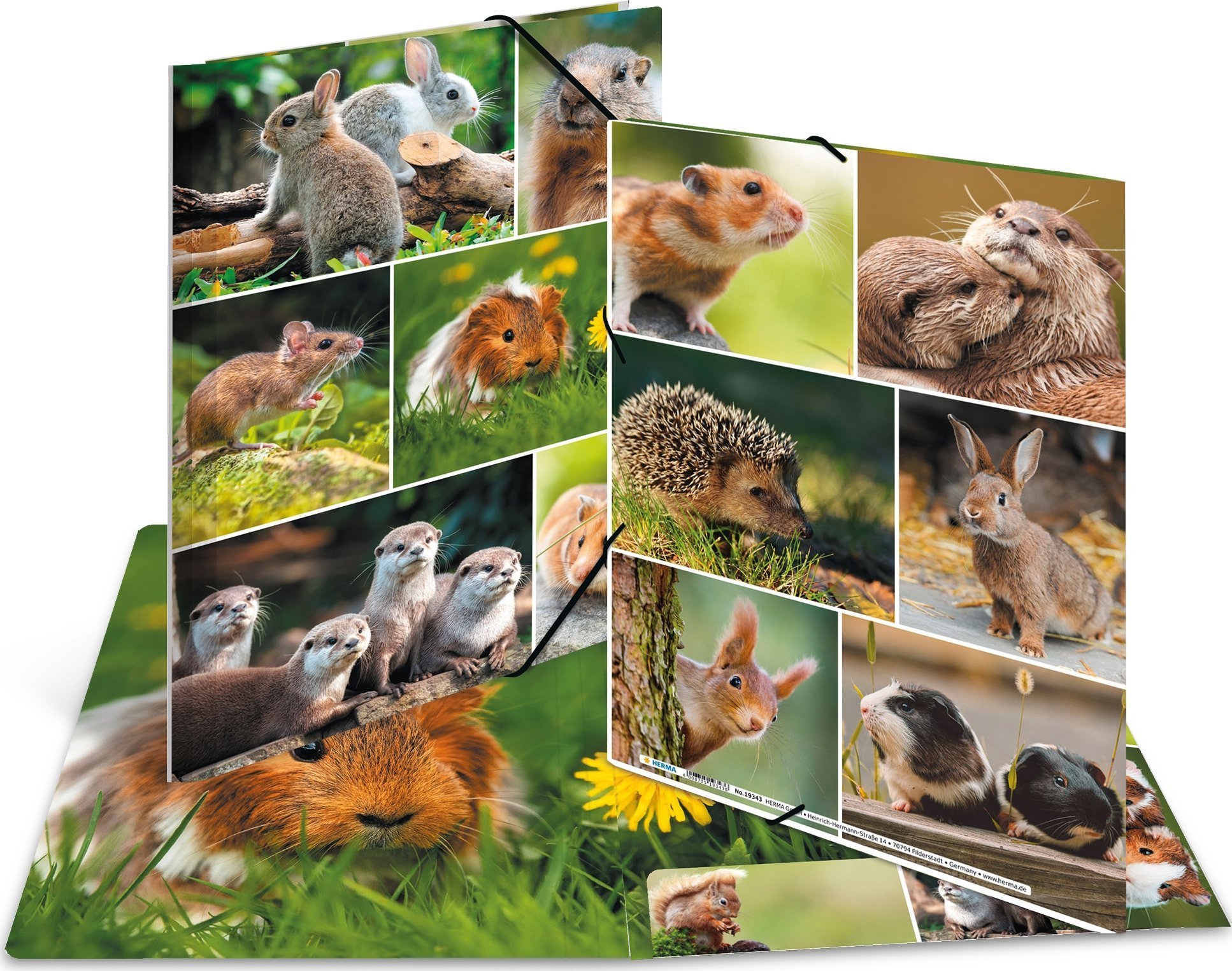 Teka Teczka A4 gumki narożne - Gryzonie