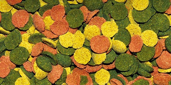 Dajana Dajana Wafer discs mix 1kg