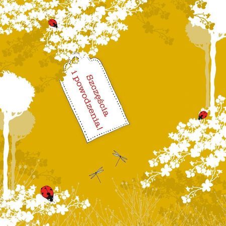 Clear Creation Karnet Swarovski kwadrat CL3401 Szczęścia i powodz