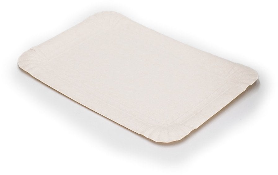 DISPOSABLE TRAYS 13X20 25PCS