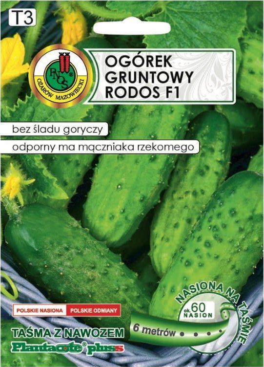 Ogórek Rodos F1 6m taśmy z nawozem Platnacote Średnio wczesna odmiana