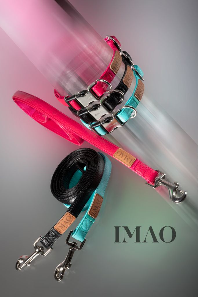 Zolux Szelki IMAO PICCADILLY 25 mm kol. turkusowy