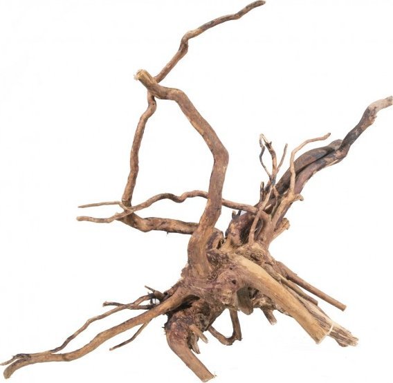 Terra Natura Korzeń bagienny RED MOOR MIX