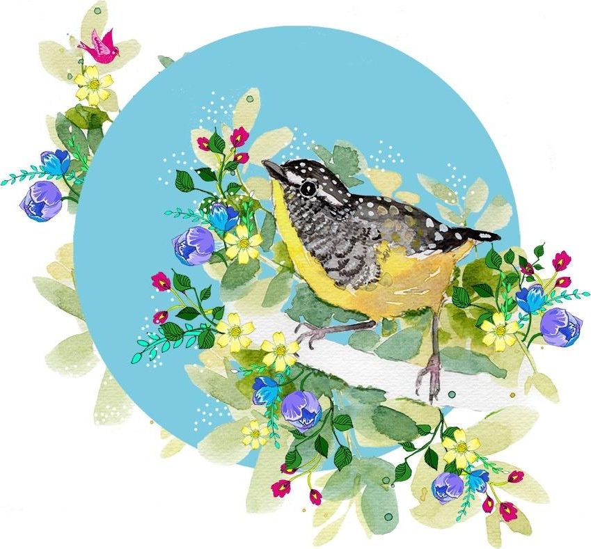 Clear Creation Karnet Swarovski kwadrat CL2007 Żólty ptaszek